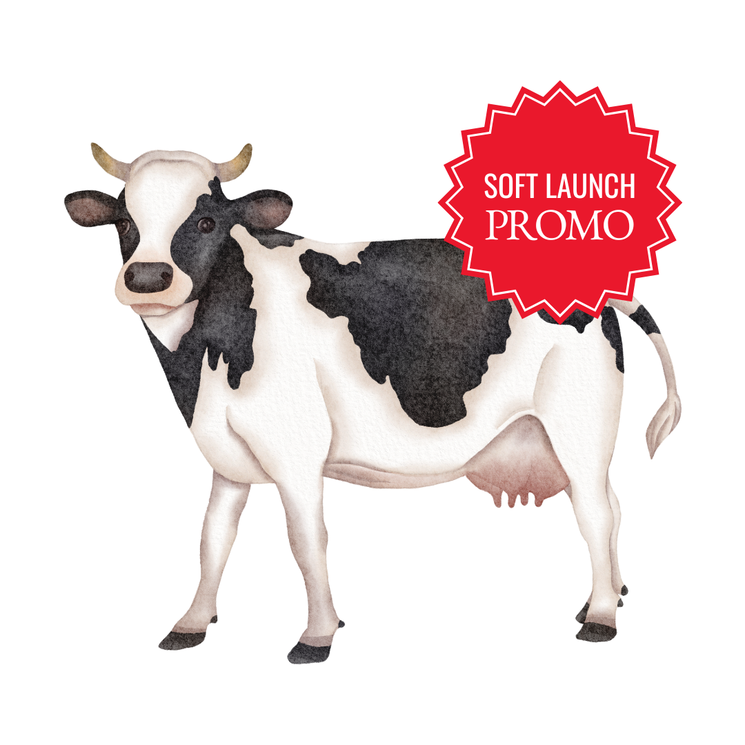 soft-launch-promo-beef-pmr